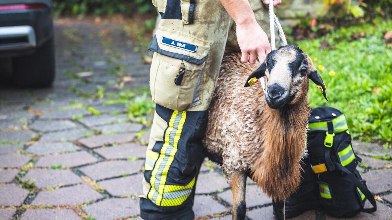undefined. © Amt für Brand- und Katastrophenschutz. © Amt für Brand- und Katastrophenschutz