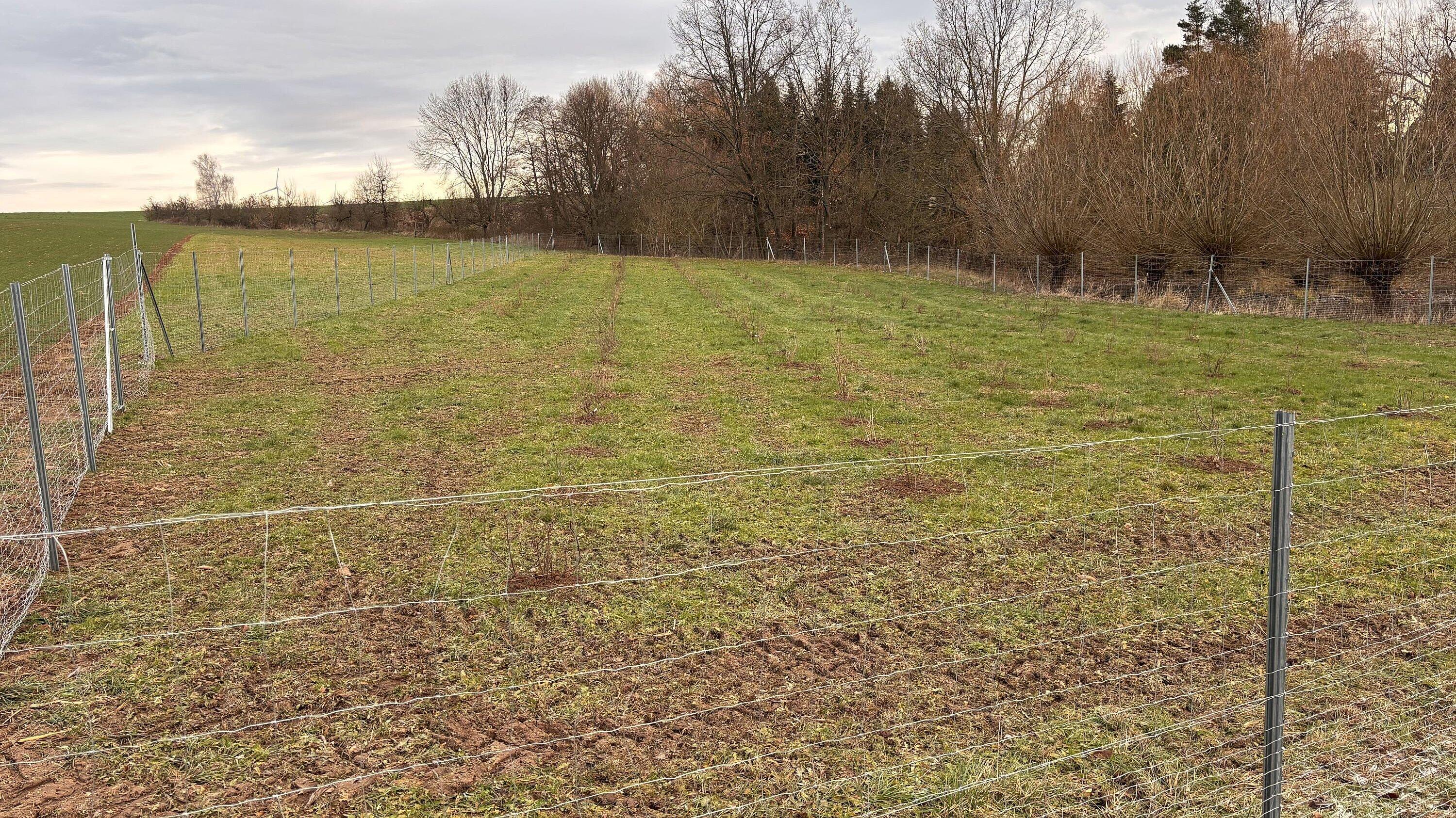 undefined. © Stadt Gera. © Stadt Gera