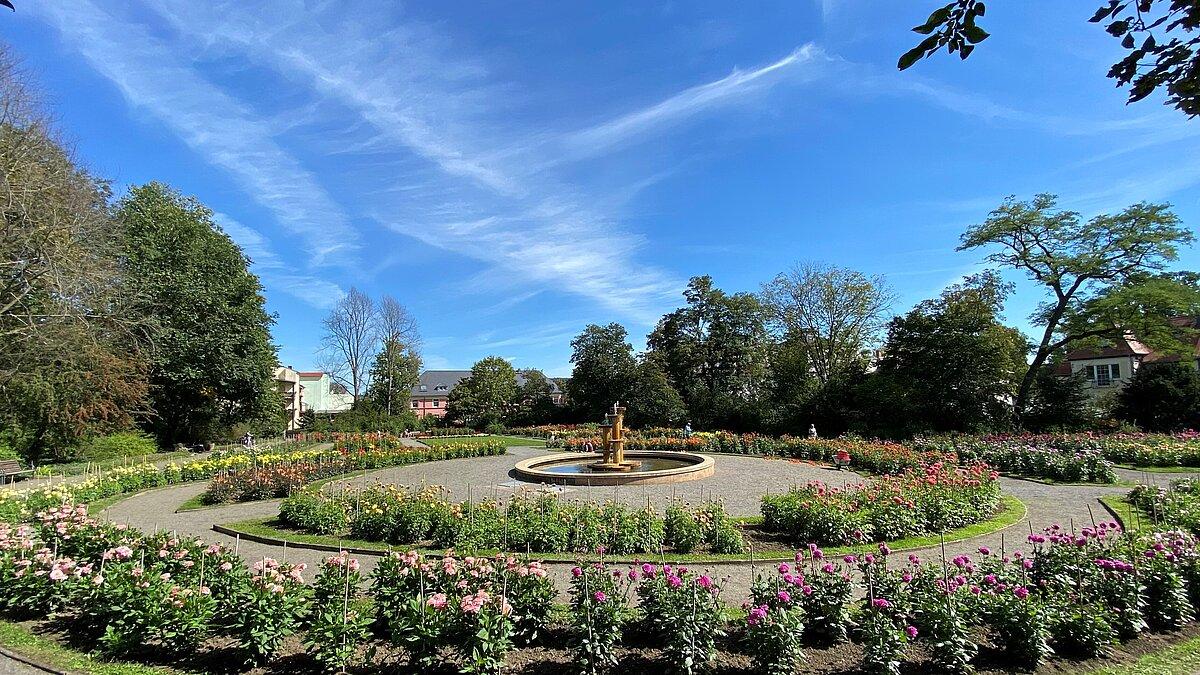 Beete im Dahliengarten mit Brunnen. © Tony Matysik