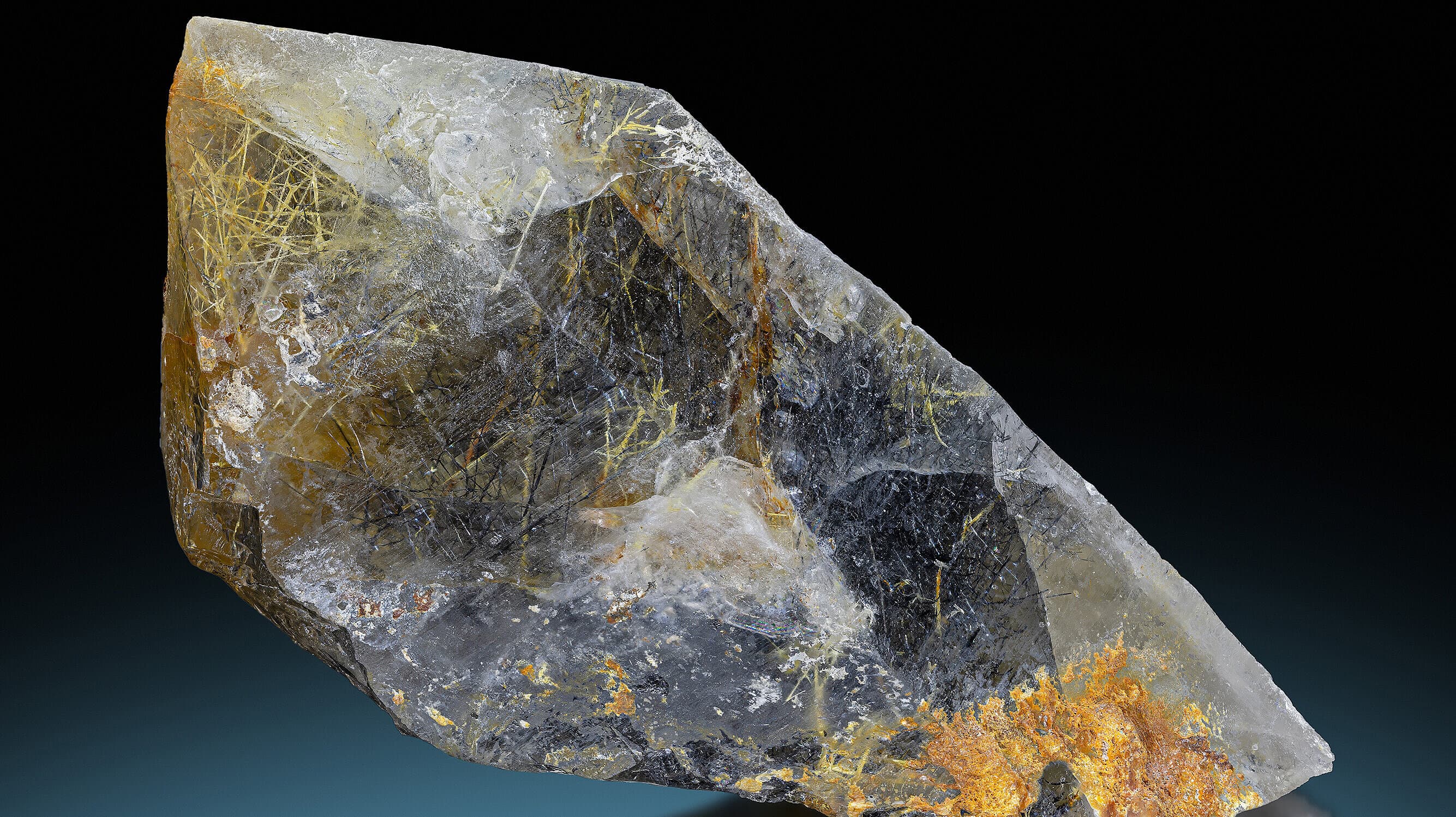 undefined. © Stadt Gera / Museum für Naturkunde (Fotograf: Robert Kennedy). © Stadt Gera / Museum für Naturkunde (Fotograf: Robert Kennedy)