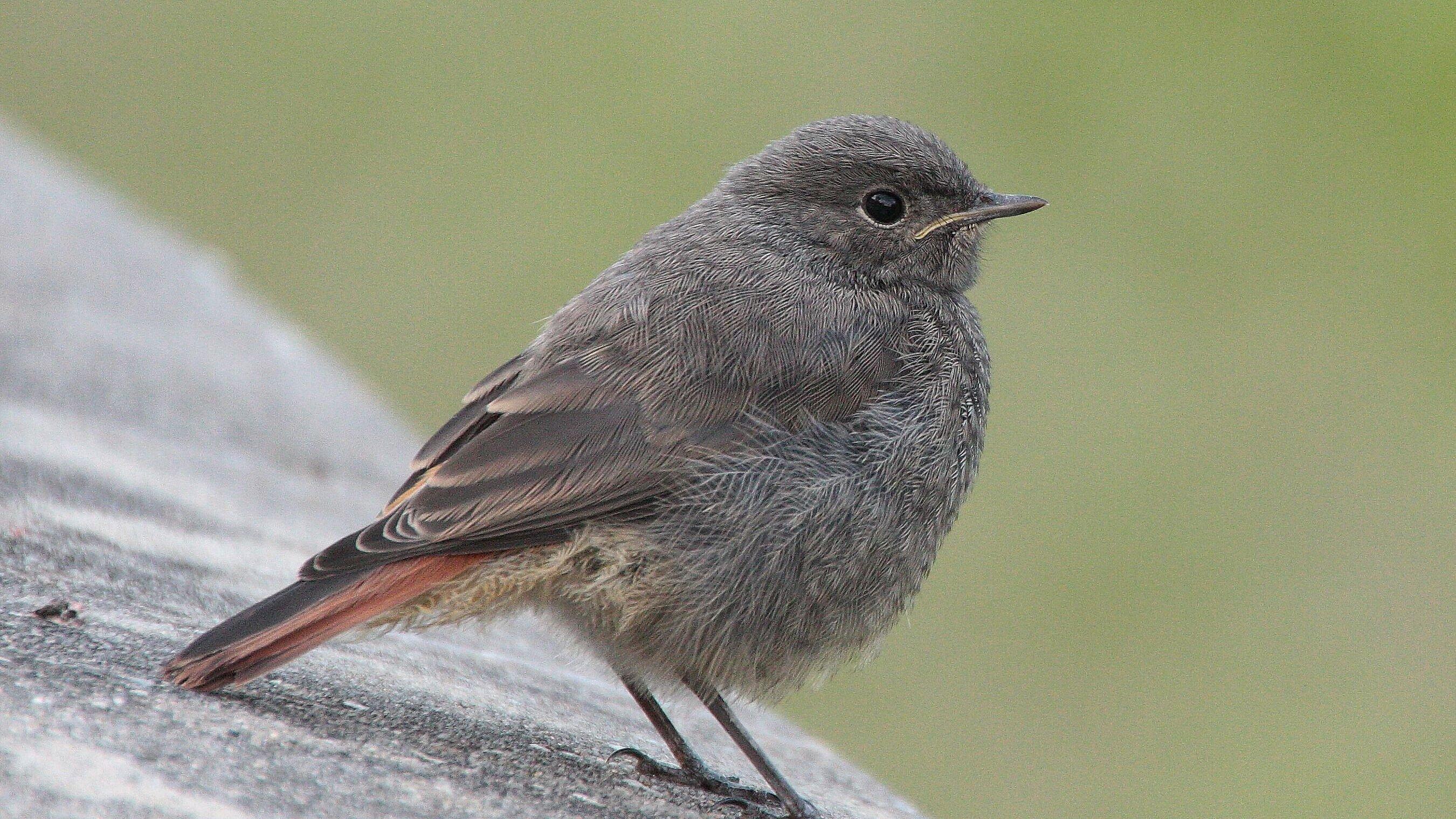 undefined. © Stadt Gera. © Stadt Gera