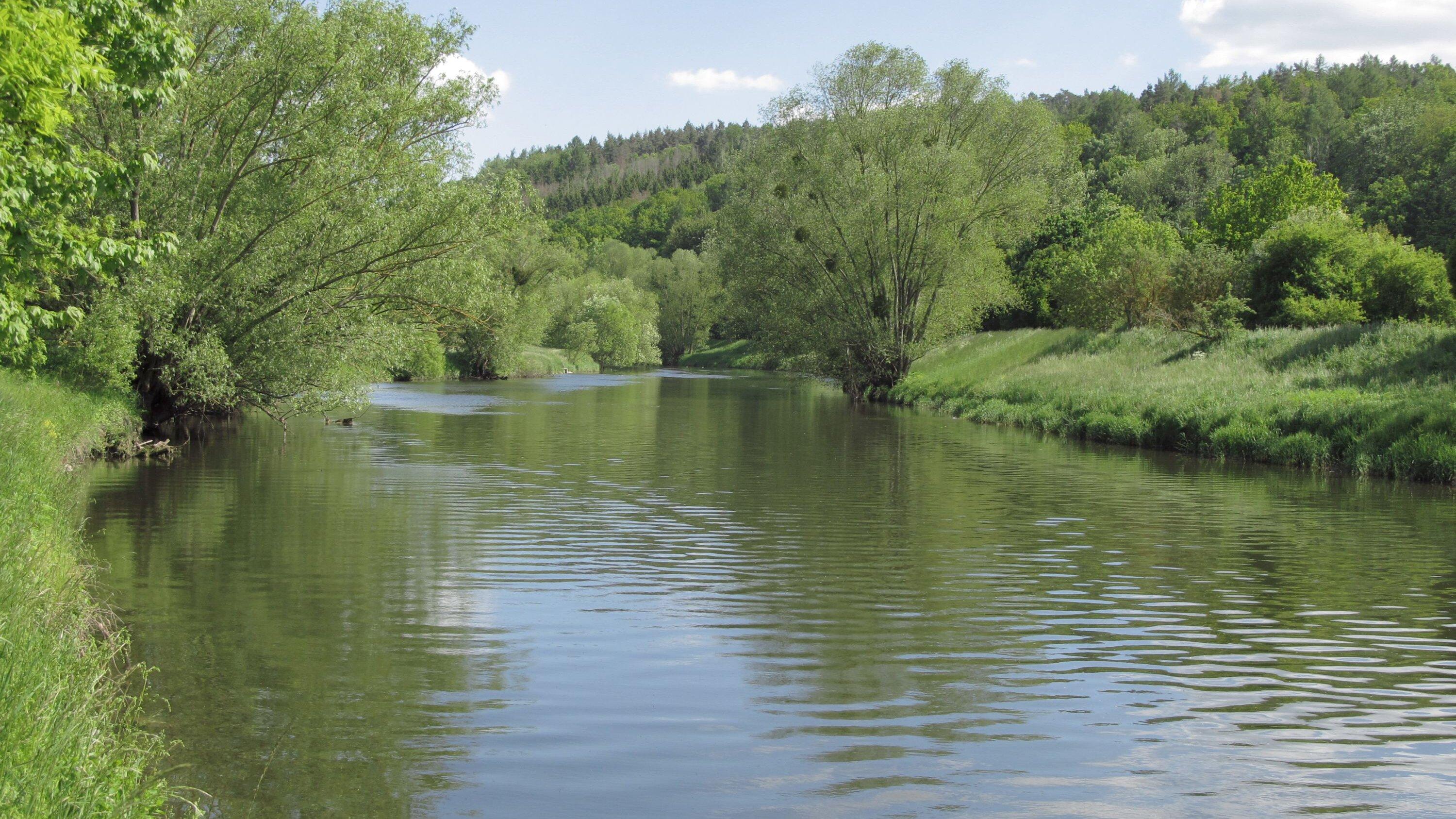 undefined. © Stadt Gera / Museum für Naturkunde (Fotograf: Frank Hrouda). © Stadt Gera / Museum für Naturkunde (Fotograf: Frank Hrouda)