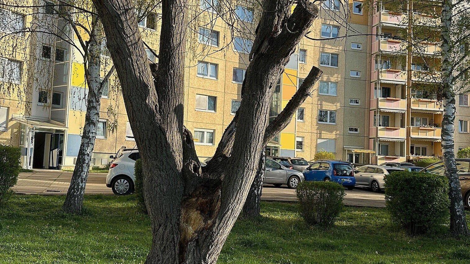 undefined. © Stadt Gera. © Stadt Gera