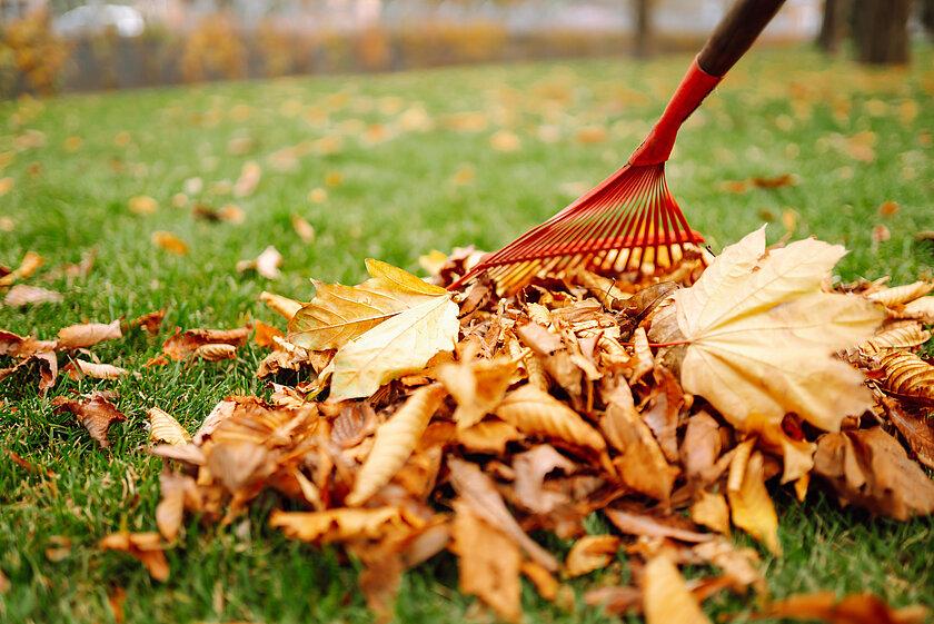 Laub beseitigen. © maxbelchenko / stock.adobe.com