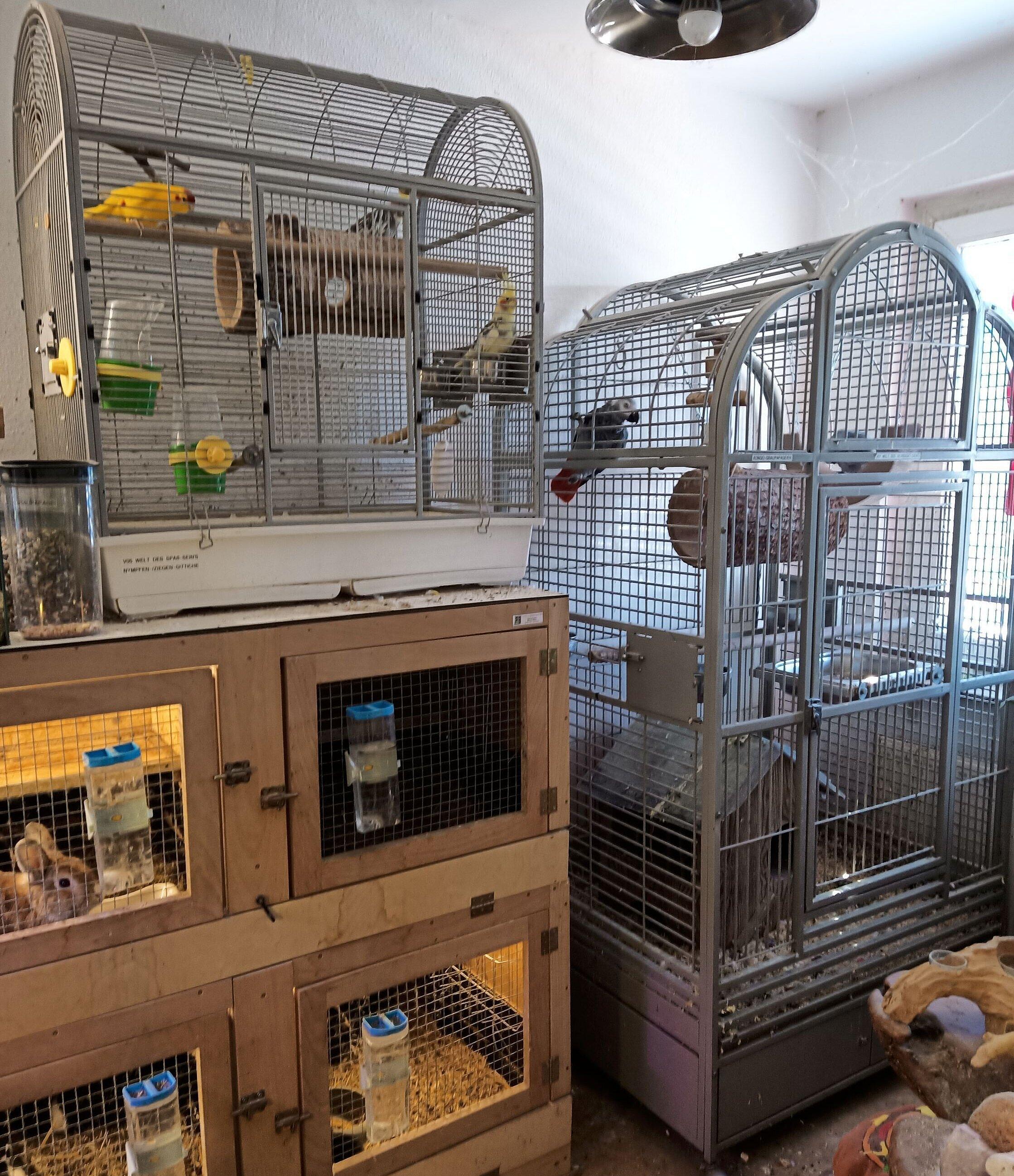 Widrige Tierhaltung. © Stadt Gera