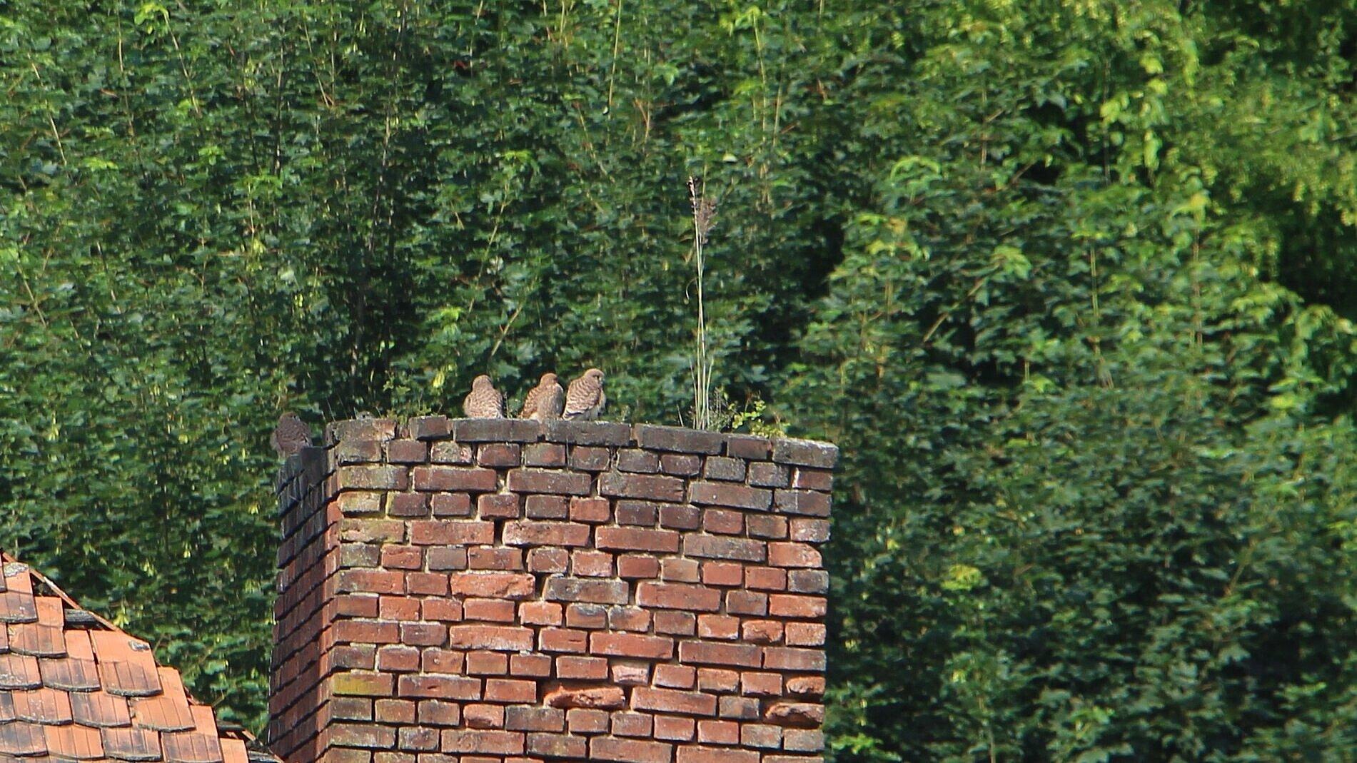 undefined. © Andrea Geithner. © Andrea Geithner