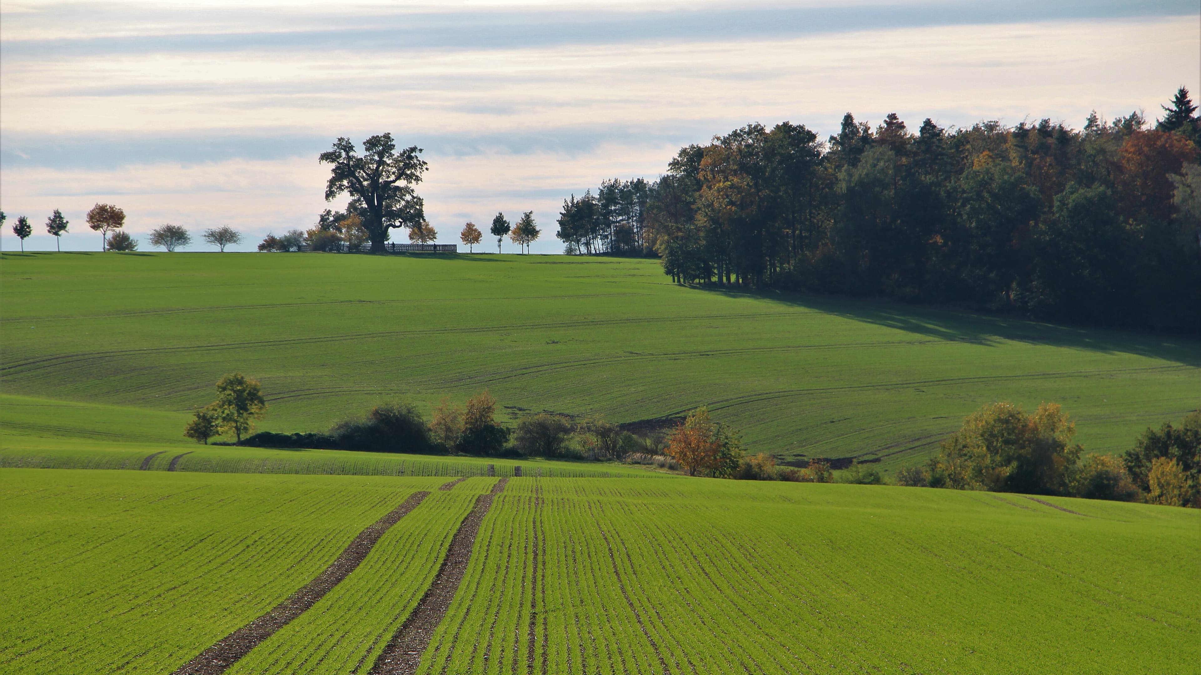 undefined. © Andrea Geithner. © Andrea Geithner