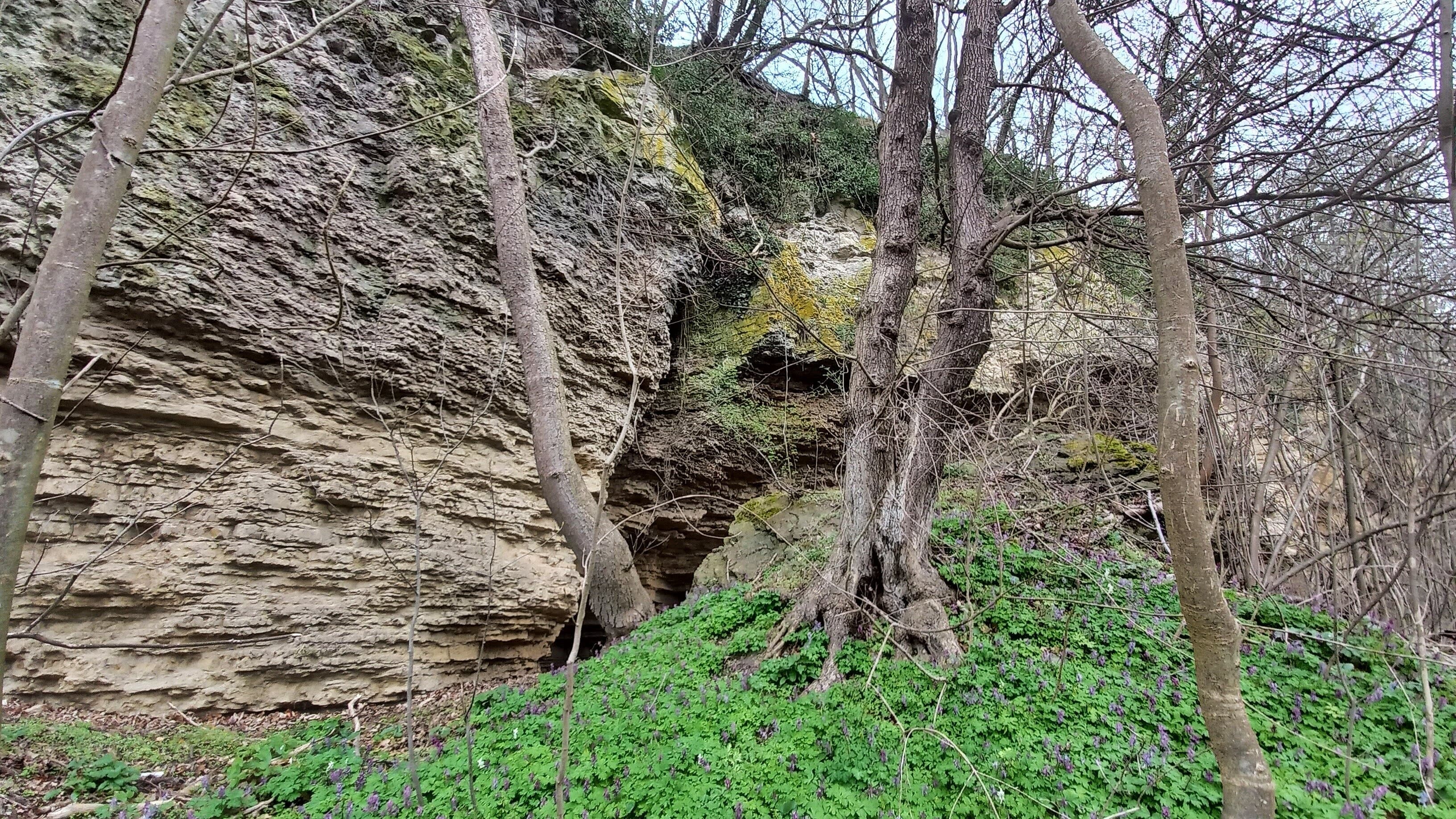 undefined. © Andrea Geithner. © Andrea Geithner