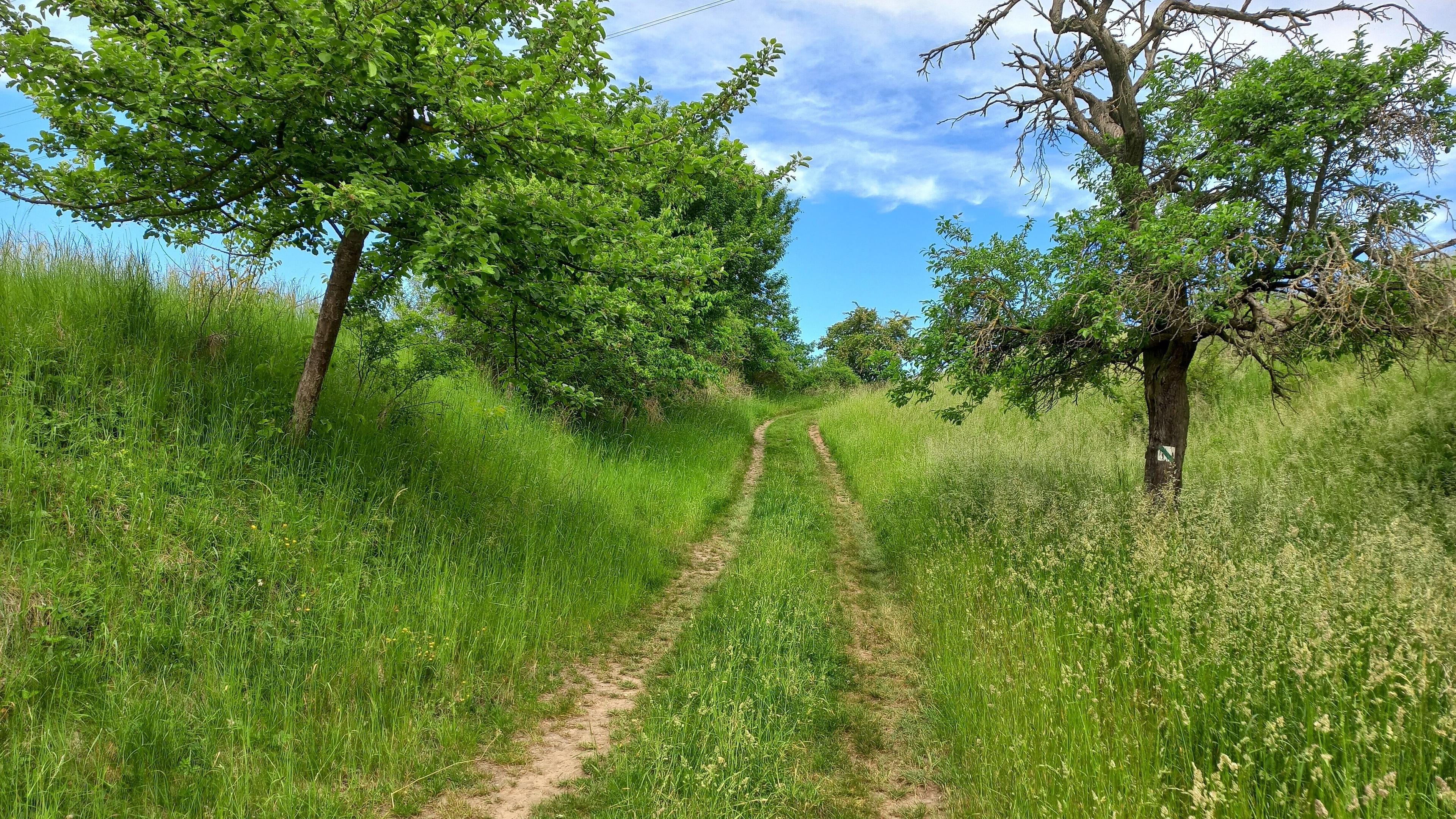 undefined. © Andrea Geithner. © Andrea Geithner