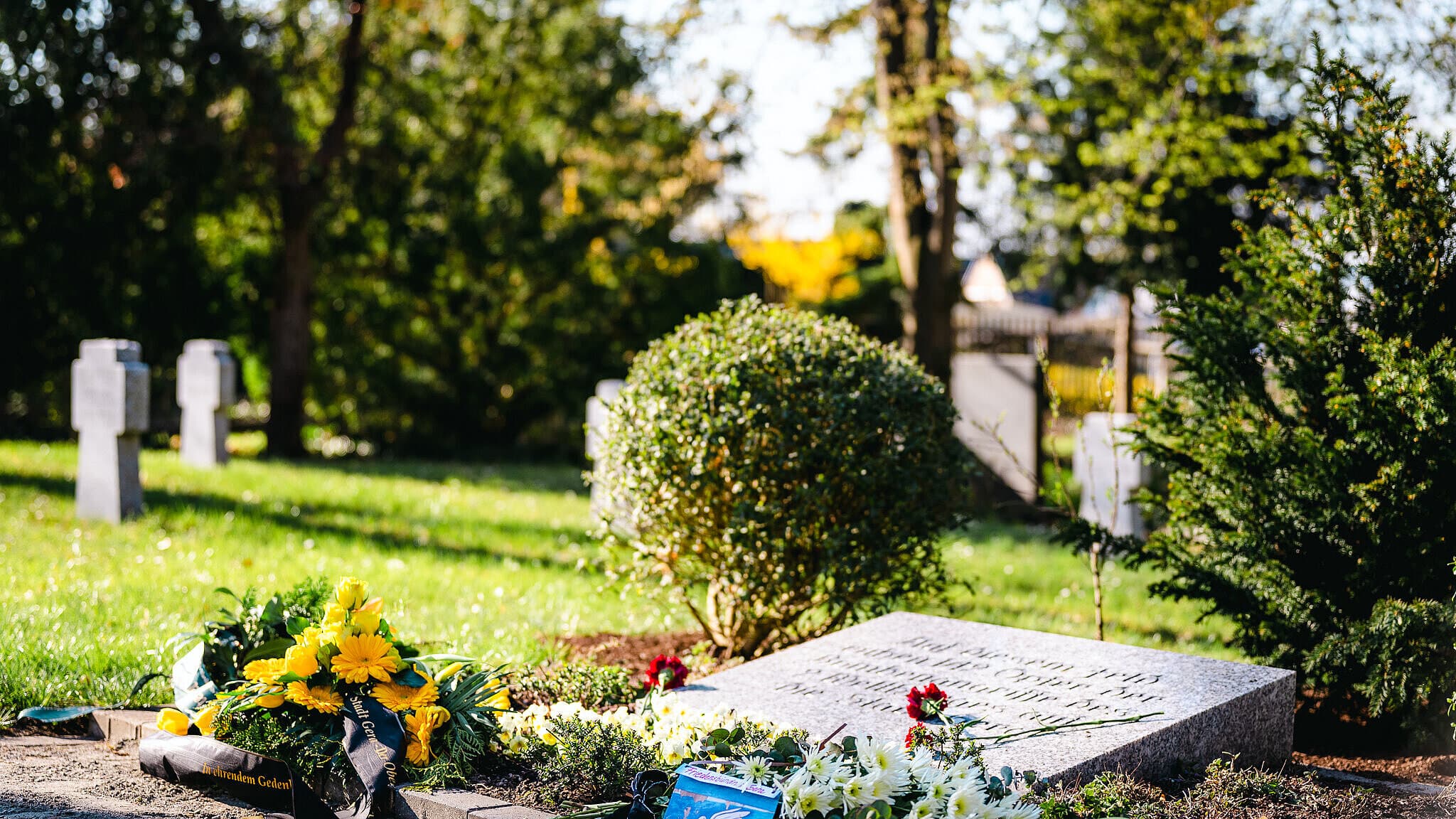 Grab der Kriegsopfer am Ostfriedhof. © Tony Matysik