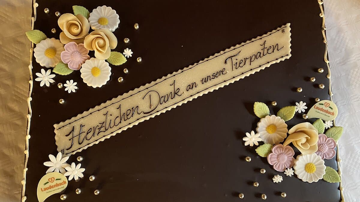 eine Schokoladentorte mit der Aufschrift "Dankeschön an unsere Tierpaten" wartet auf den Anschnitt. © Stadtverwaltung Gera