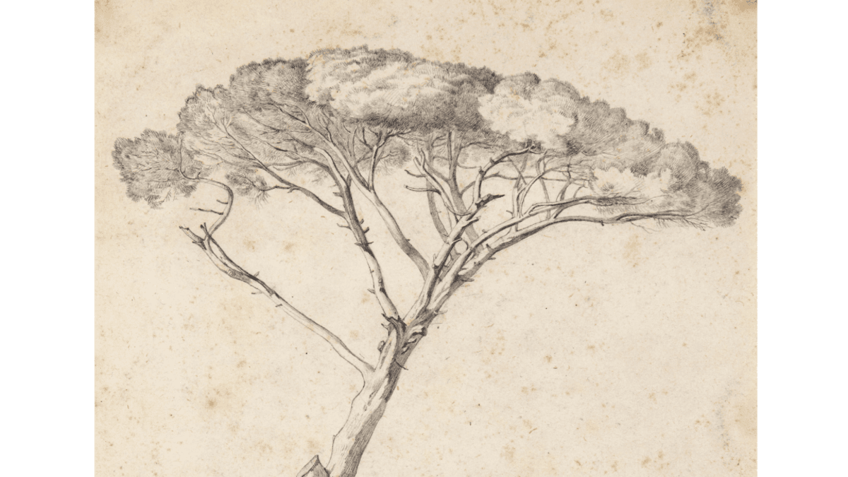 . © Heinrich Reinhold