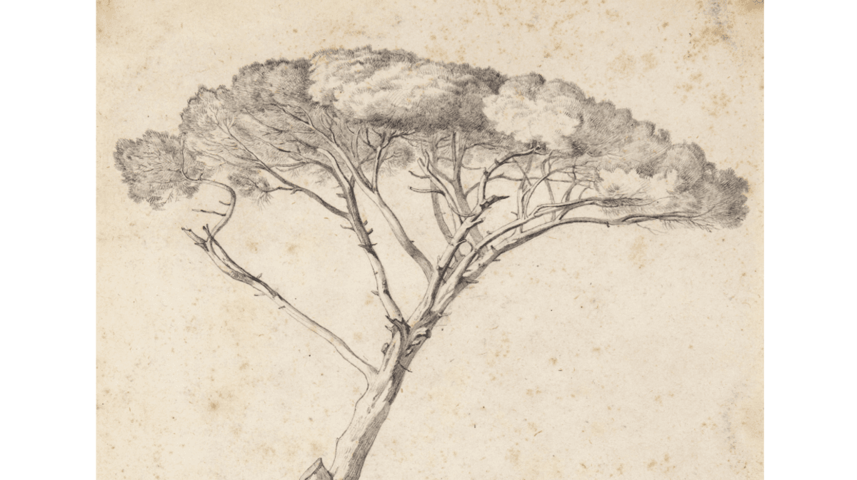 . © Heinrich Reinhold