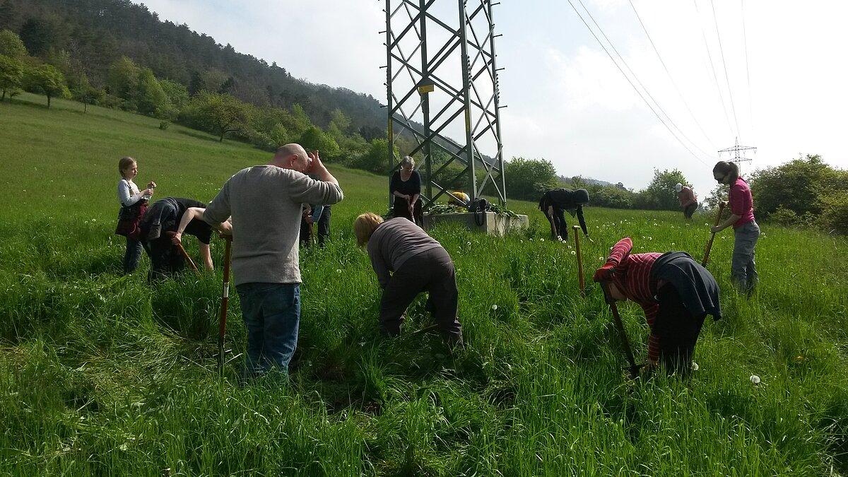 . © Maximilian Schweiger