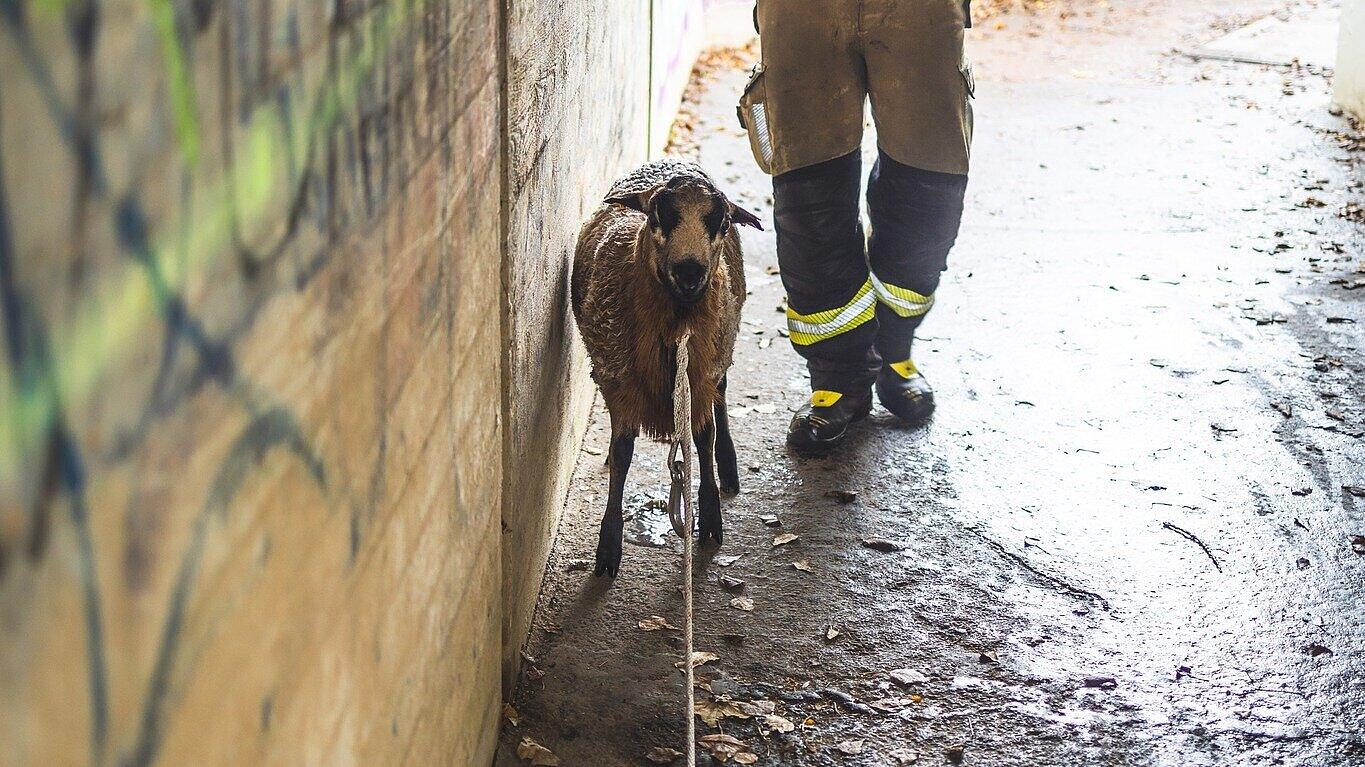 undefined. © Amt für Brand- und Katastrophenschutz. © Amt für Brand- und Katastrophenschutz