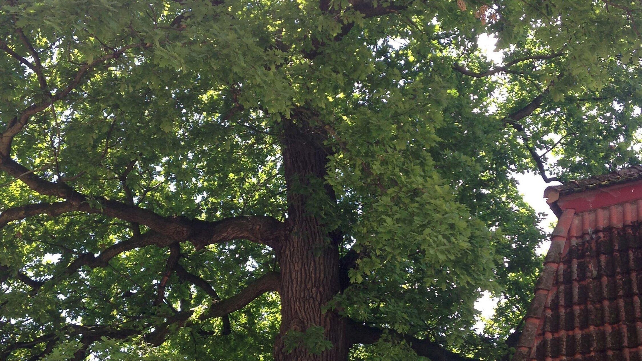 undefined. © Stadt Gera. © Stadt Gera