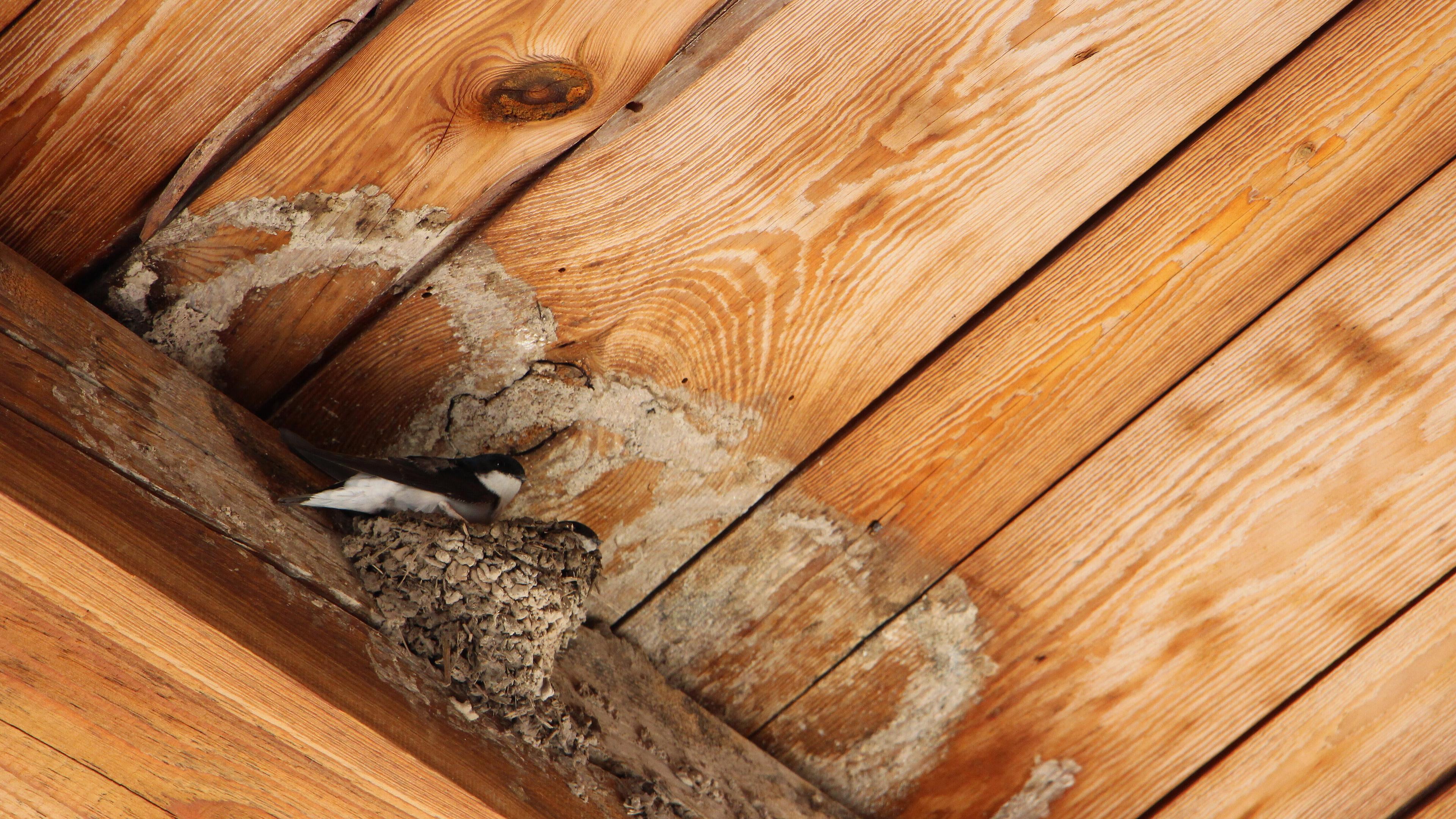 undefined. © Andrea Geithner. © Andrea Geithner