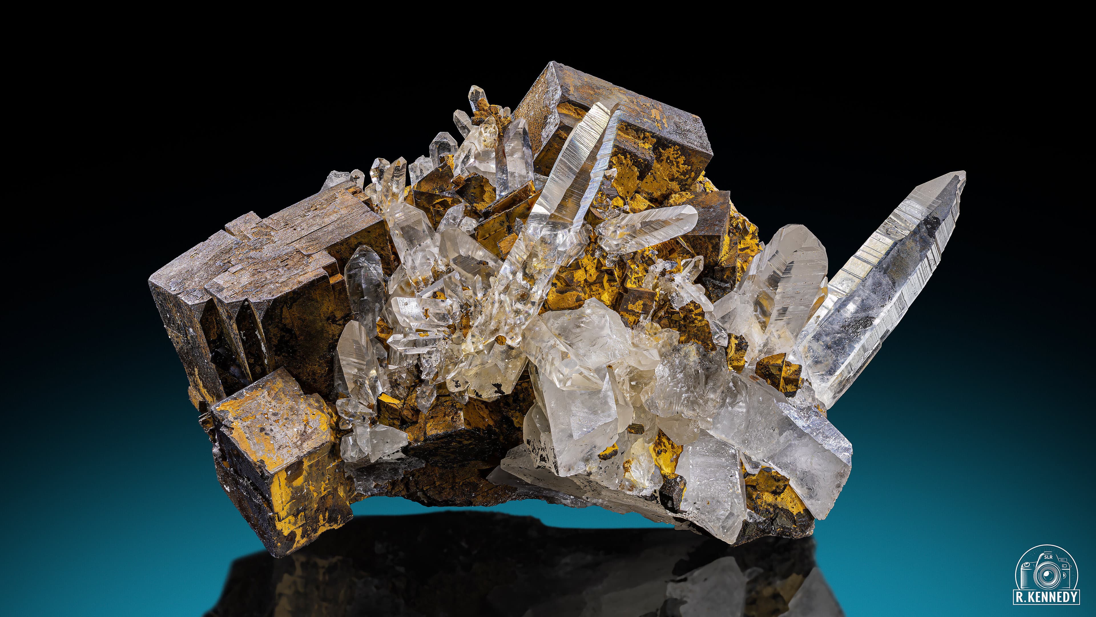 undefined. © Stadt Gera / Museum für Naturkunde (Fotograf: Robert Kennedy). © Stadt Gera / Museum für Naturkunde (Fotograf: Robert Kennedy)