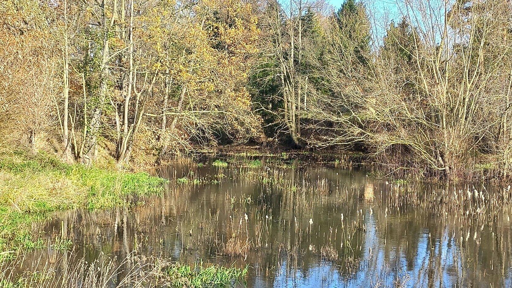 undefined. © Andrea Geithner. © Andrea Geithner