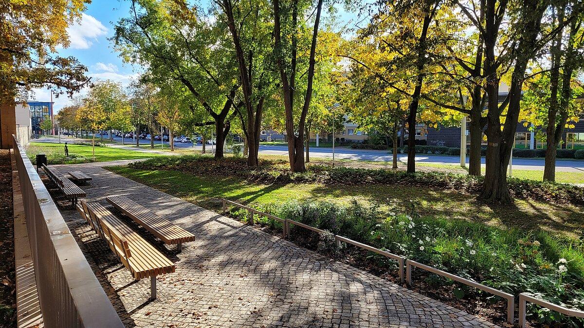 Ein Park mit mehreren Sitzgelegenheiten