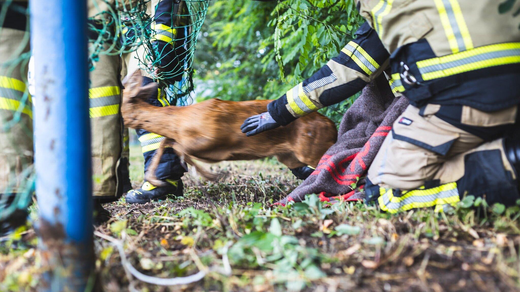 undefined. © Amt für Brand- und Katastrophenschutz. © Amt für Brand- und Katastrophenschutz
