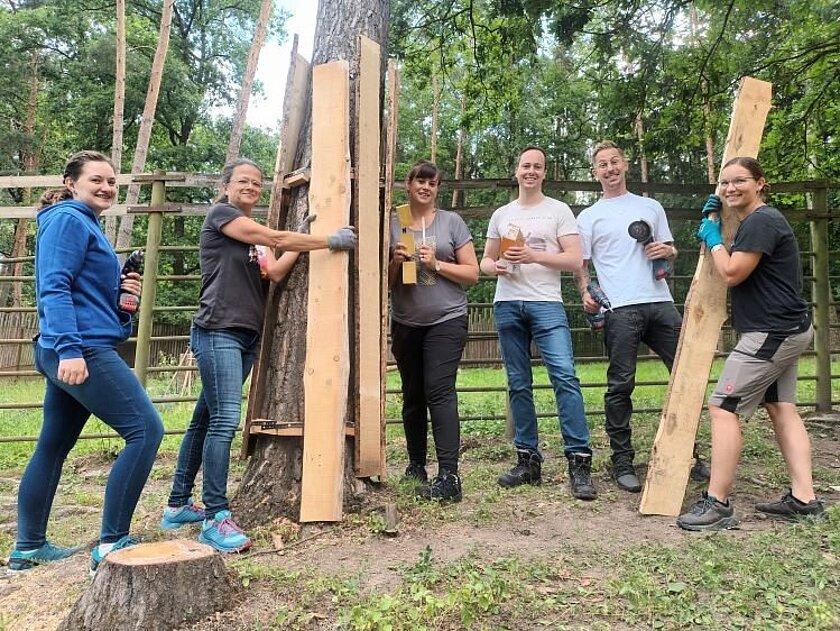 eine Gruppe von Leuten stehen mit Handwerkssachen im Gehege und bringen einen Bretter als Schutz an einen Baum an. © Stadtverwaltung Gera