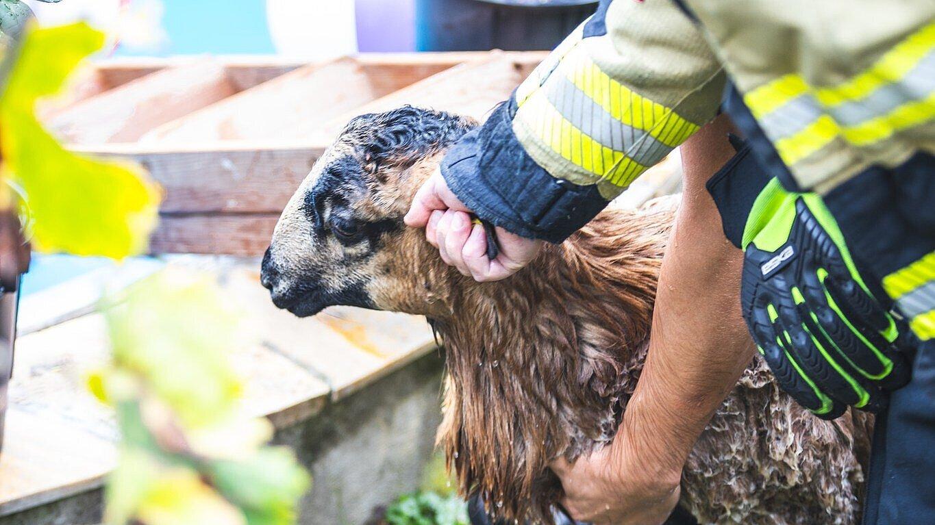 undefined. © Amt für Brand- und Katastrophenschutz. © Amt für Brand- und Katastrophenschutz