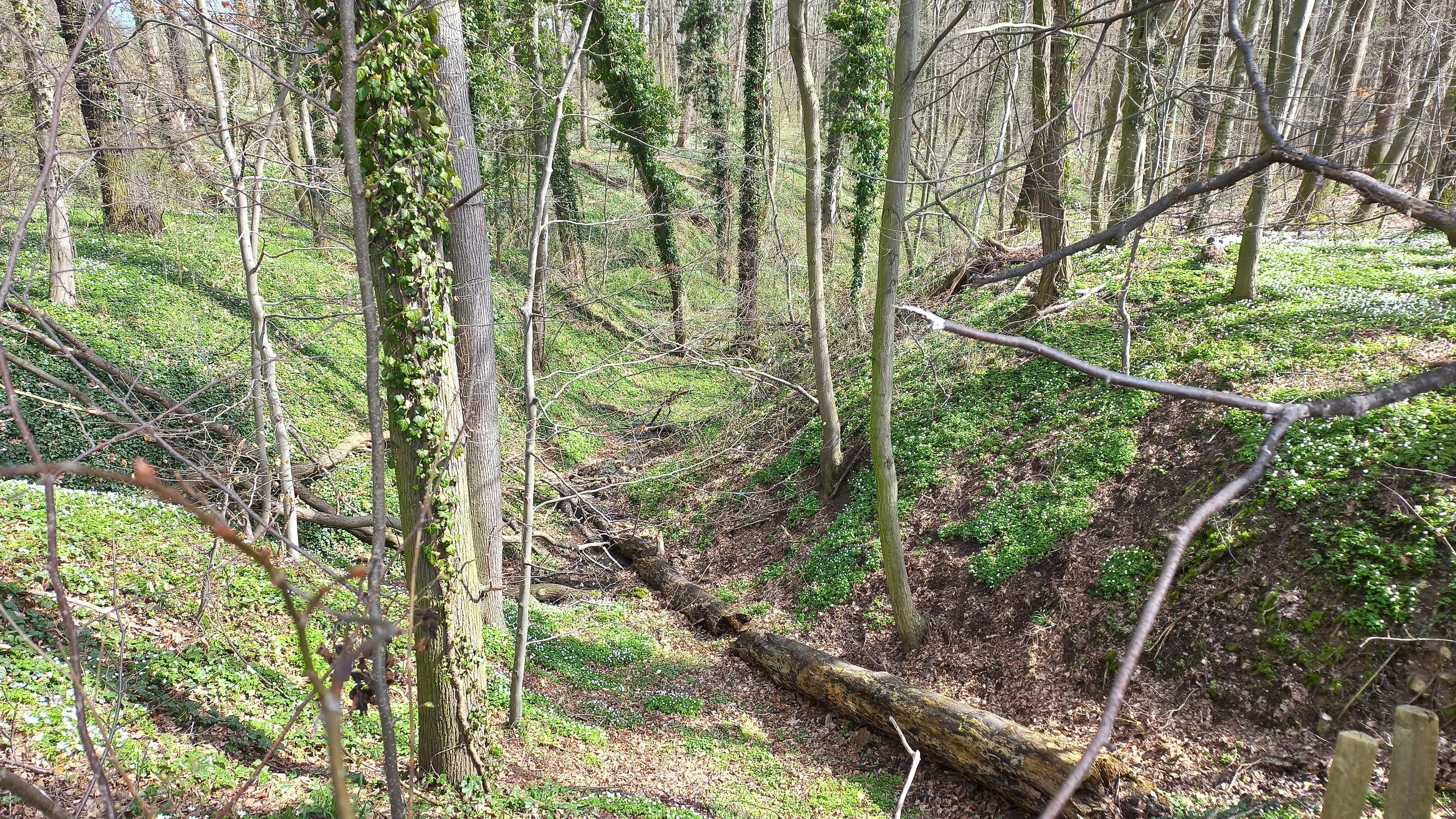 undefined. © Andrea Geithner. © Andrea Geithner