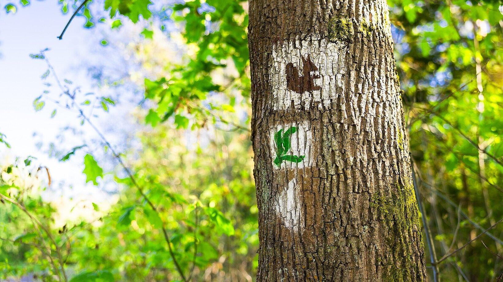 undefined. © Stadt Gera. © Stadt Gera