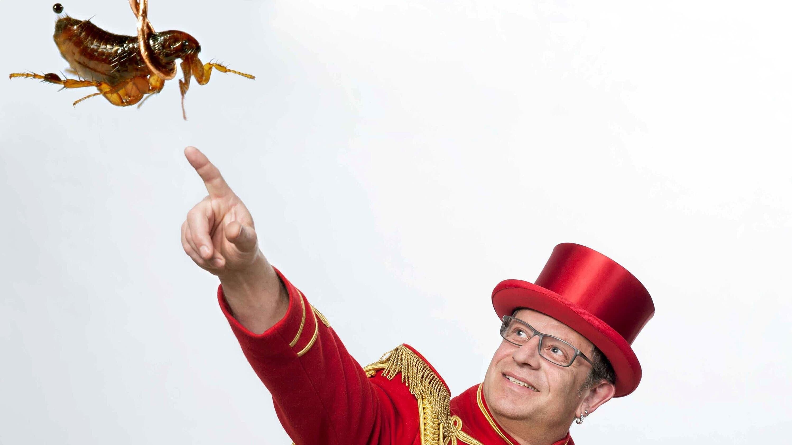 Flohzirkus Birk. © Flohzirkus Birk