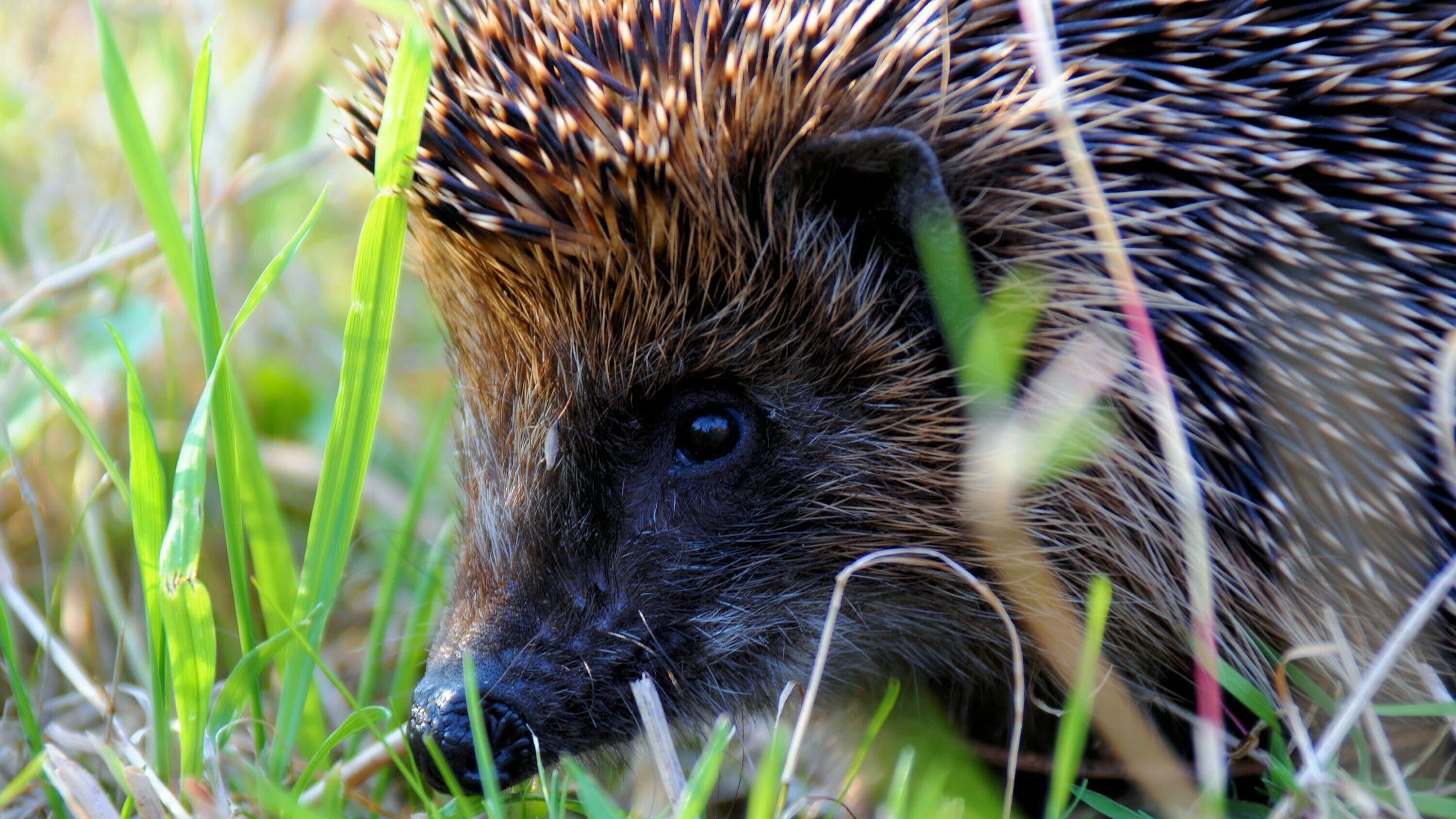 undefined. © Silvio Heidler. © Silvio Heidler
