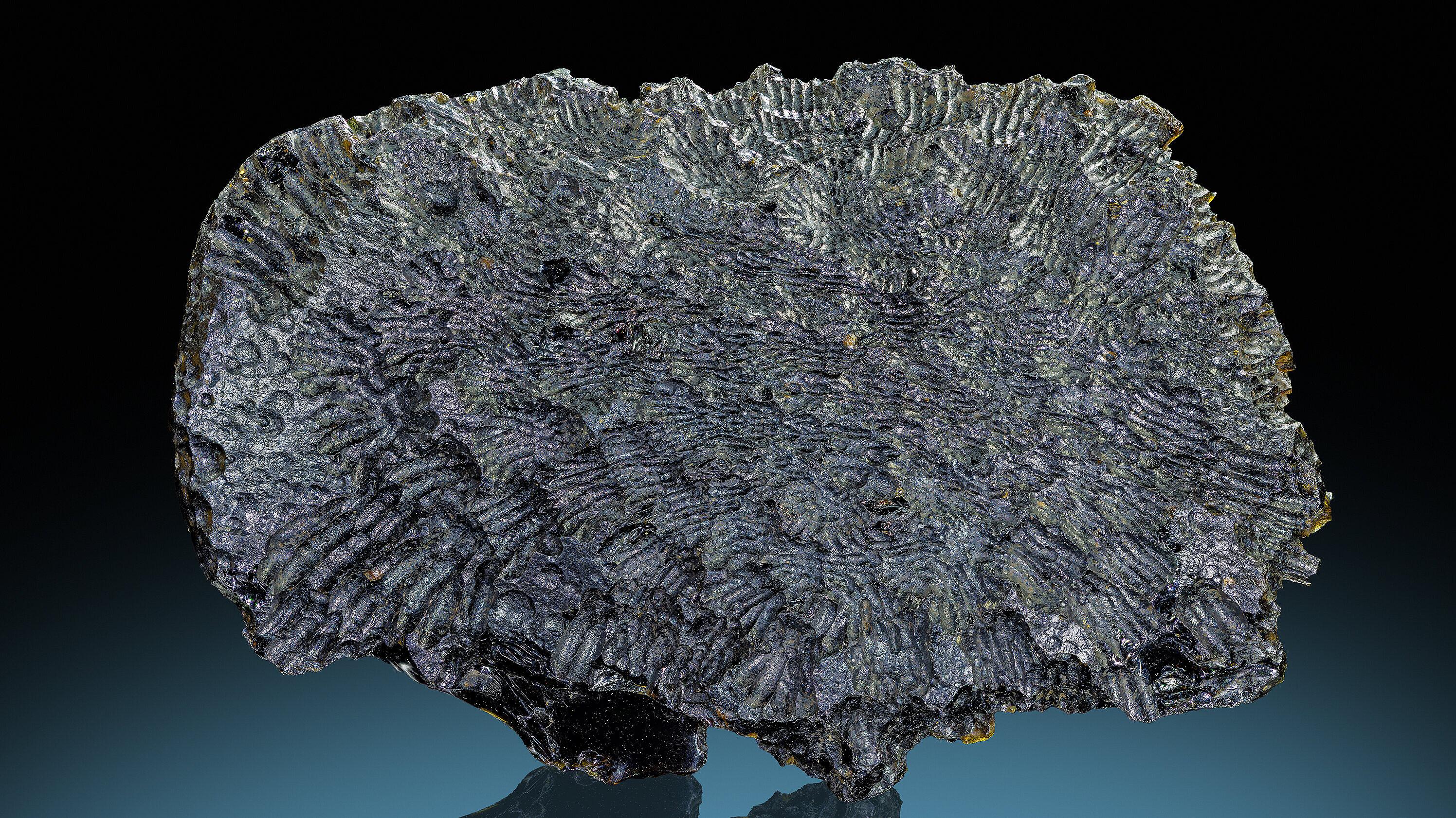 Schwarzer Tektit (Philippinit) mit blütenartiger Oberflächenstruktur aus dem Barangay Luna, Stadtgemeinde Bolinao, Provinz Pangasinan, Luzon, Philippinen, 6,8 x 4,3 x 1,8 cm. © Robert Kennedy