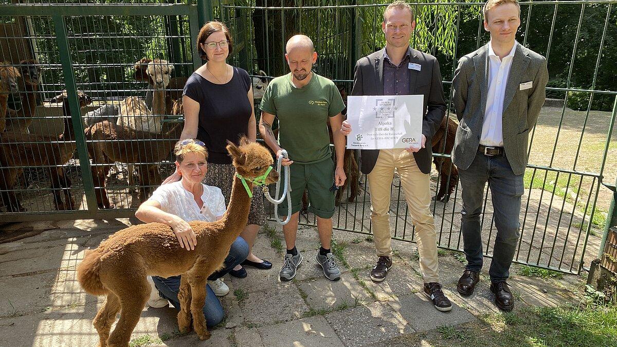 eine Gruppe Leute steht vor dem Gehege der Alpakas mit einem Tierpfleger und Alpakafohlen . © Stadtverwaltung Gera