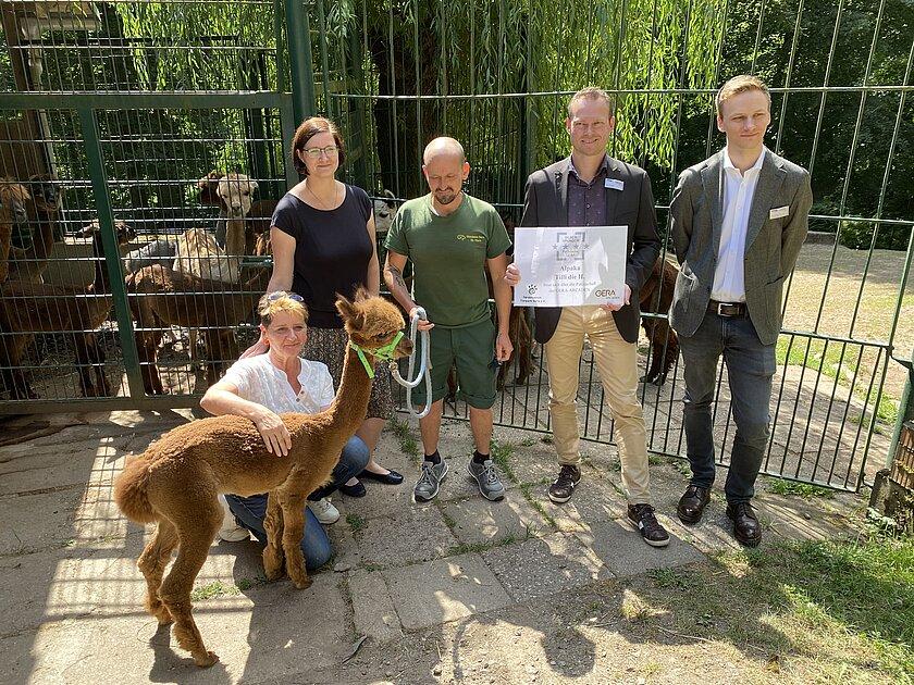 eine Gruppe Leute steht vor dem Gehege der Alpakas mit einem Tierpfleger und Alpakafohlen . © Stadtverwaltung Gera