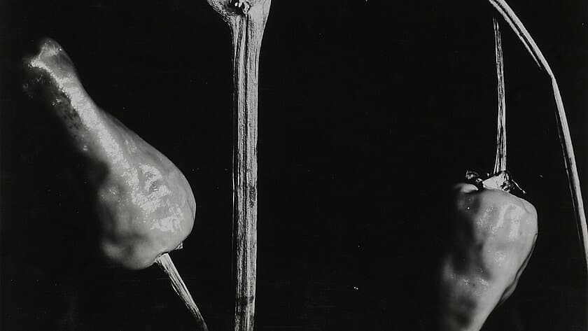 . © Museum für Angewandte Kunst