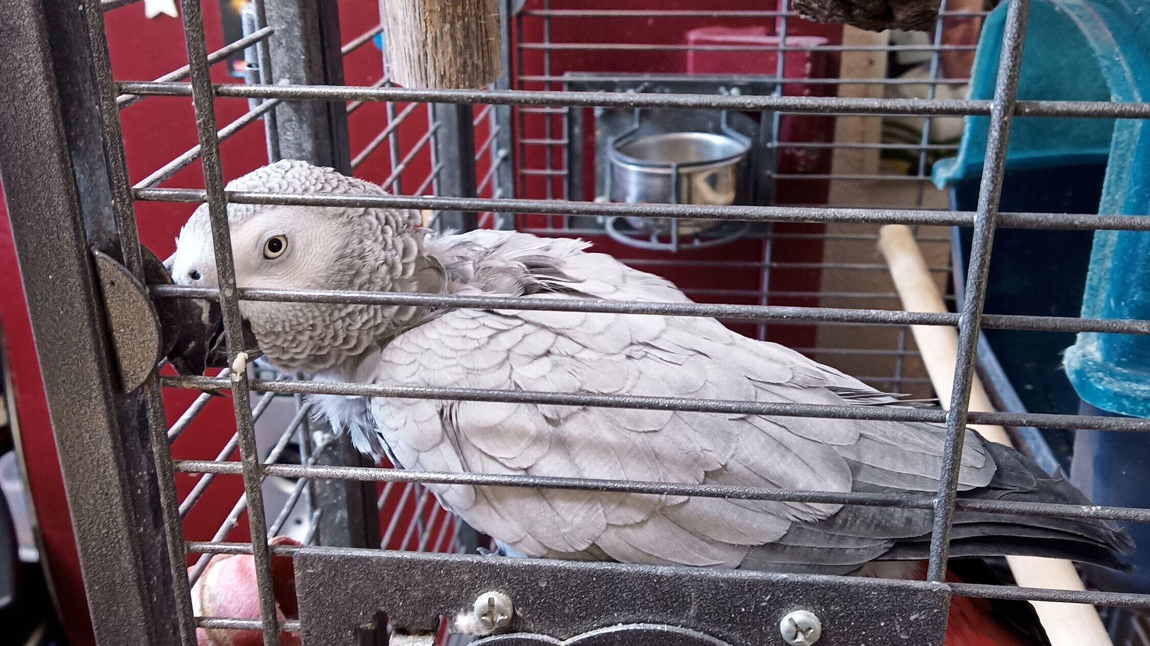 undefined. © Stadt Gera. © Stadt Gera