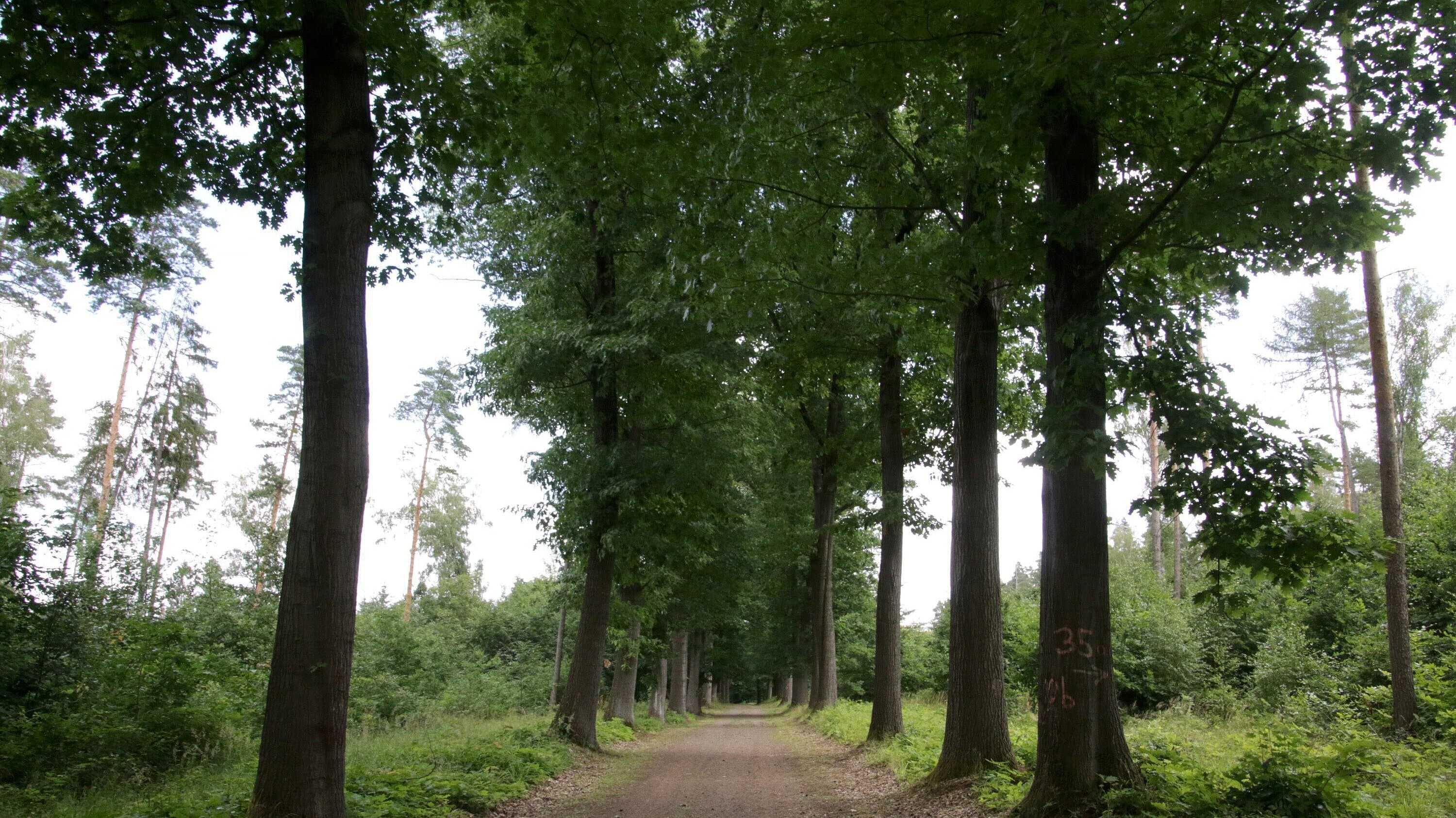 undefined. © Stadt Gera. © Stadt Gera