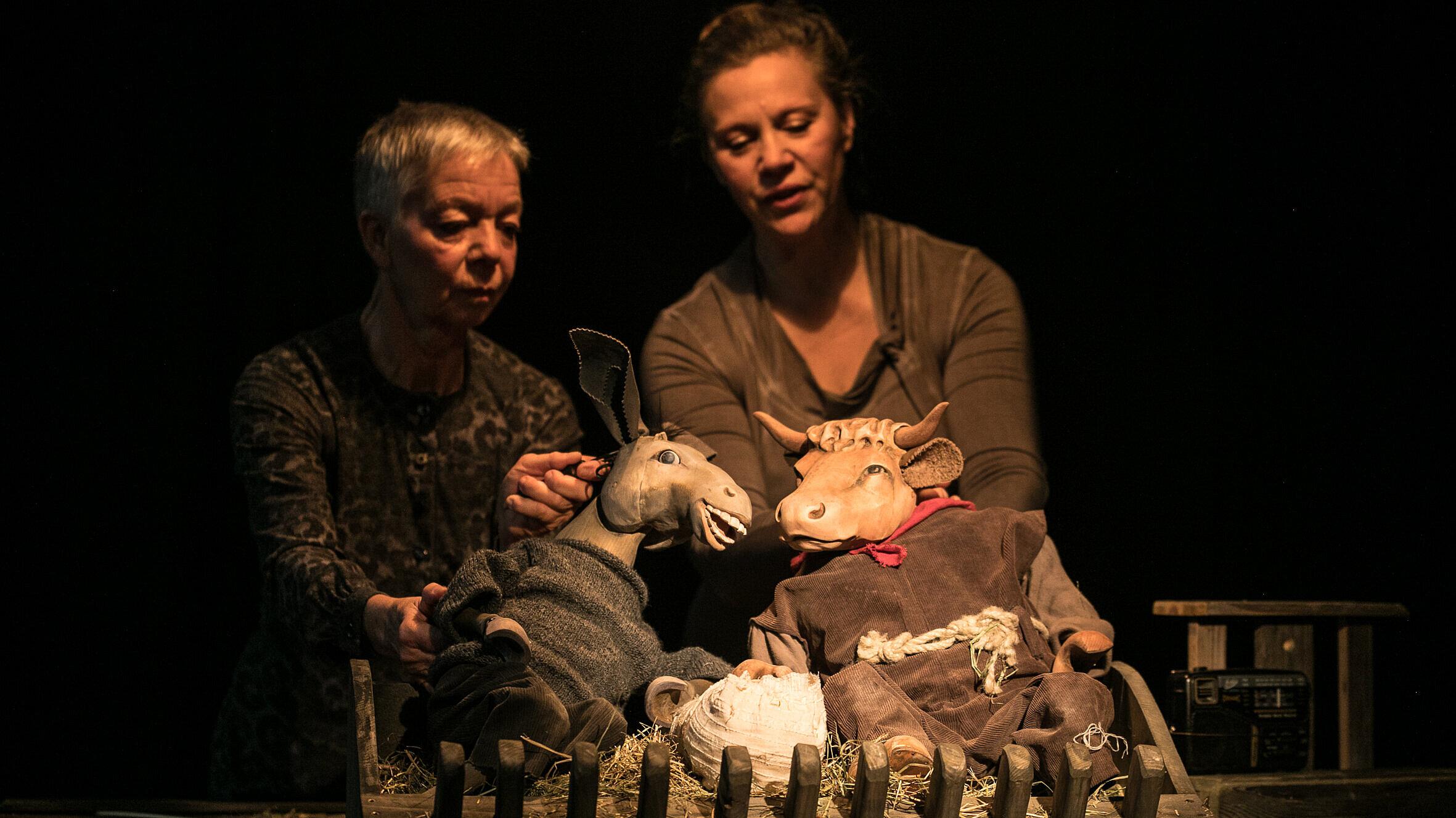 Werbebild „Ox und Esel“.