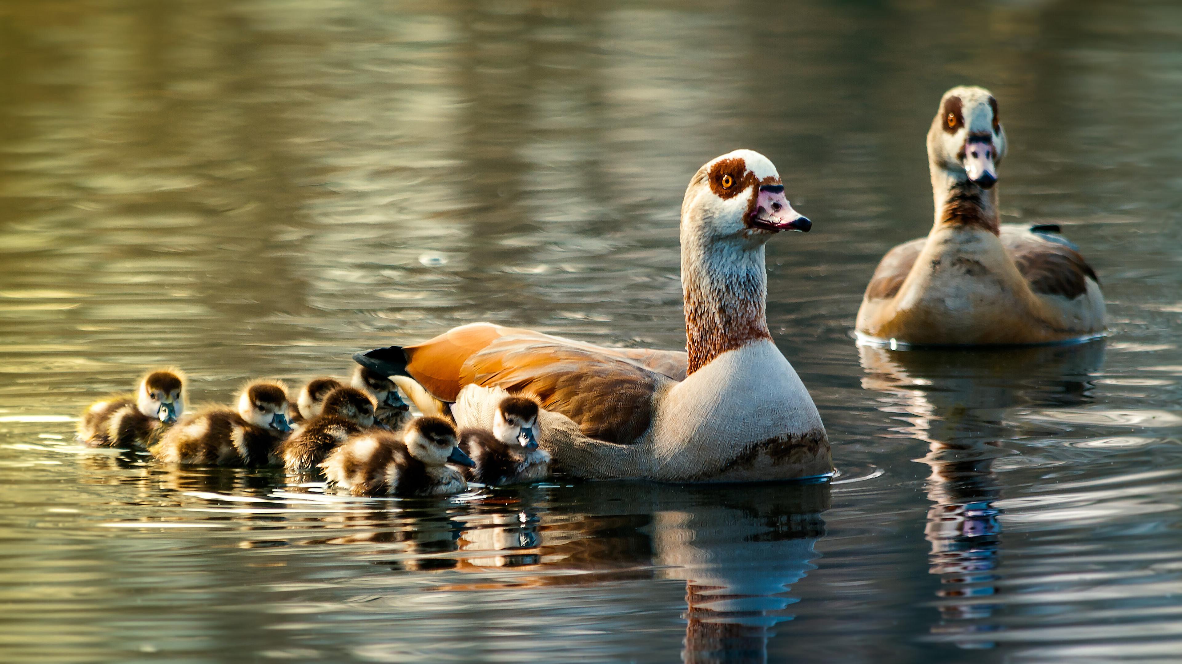 undefined. © stock.adobe.com. © stock.adobe.com