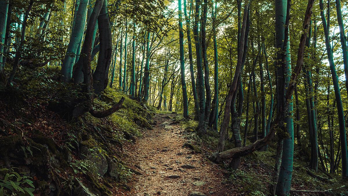 . © chronisyan - stock.adobe.com