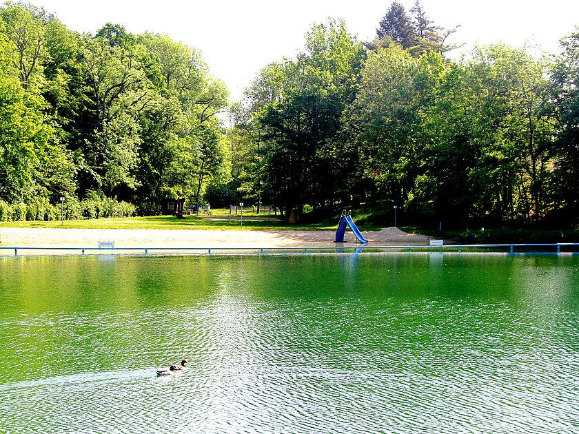 Blick auf das Naturbad in Kaimberg