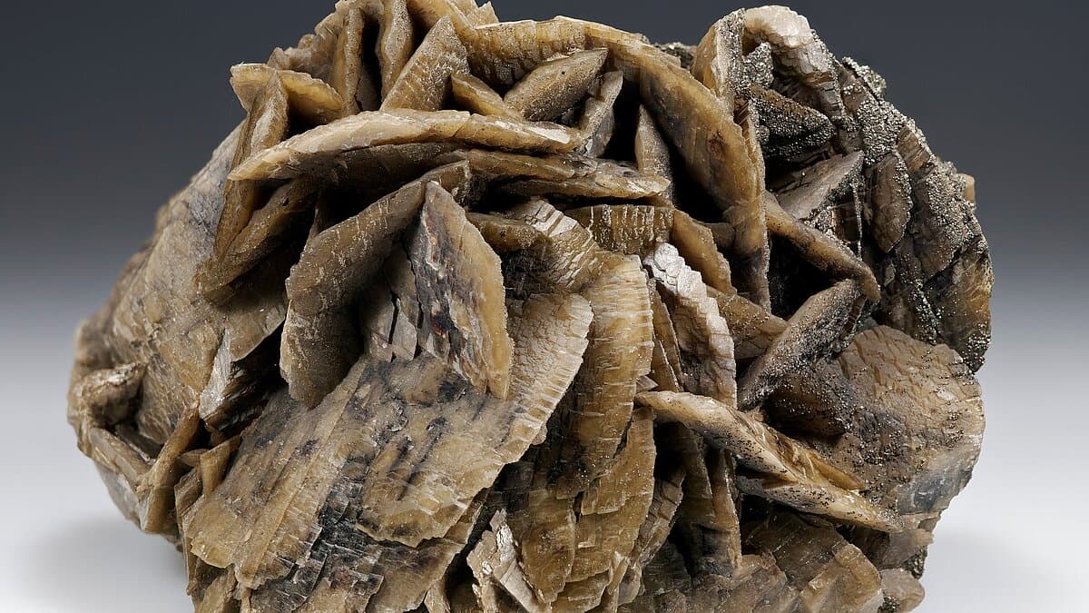 Prächtige braune Kristalle des Minerals Siderit mit etwas Pyrit. Fundort: Reußisch Haus Fundgrube, Tännig östlich von Bad Lobenstein, Thüringen, 9,5 x 7 cm. © Stadt Gera / Museum für Naturkunde (Fotograf: Matthias Reinhardt)