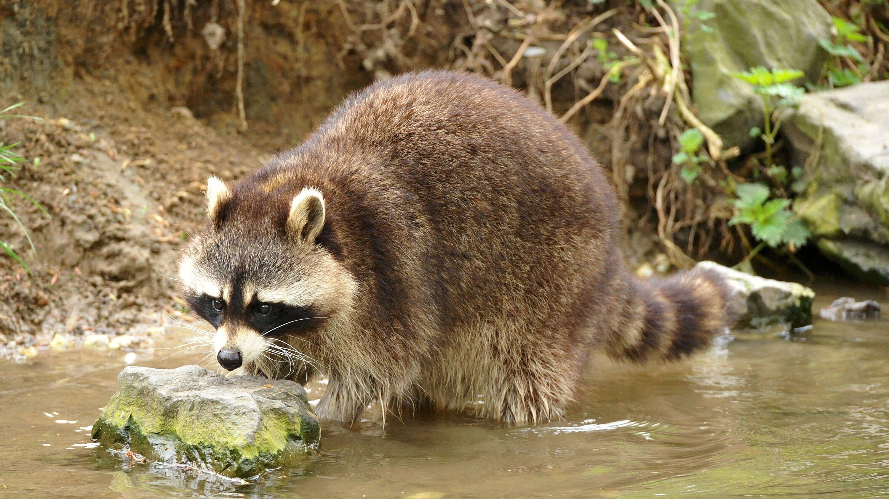 undefined. © Silvio Heidler. © Silvio Heidler