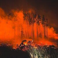 Feuerwehr Gera. © Amt für Brand- und Katastrophenschutz