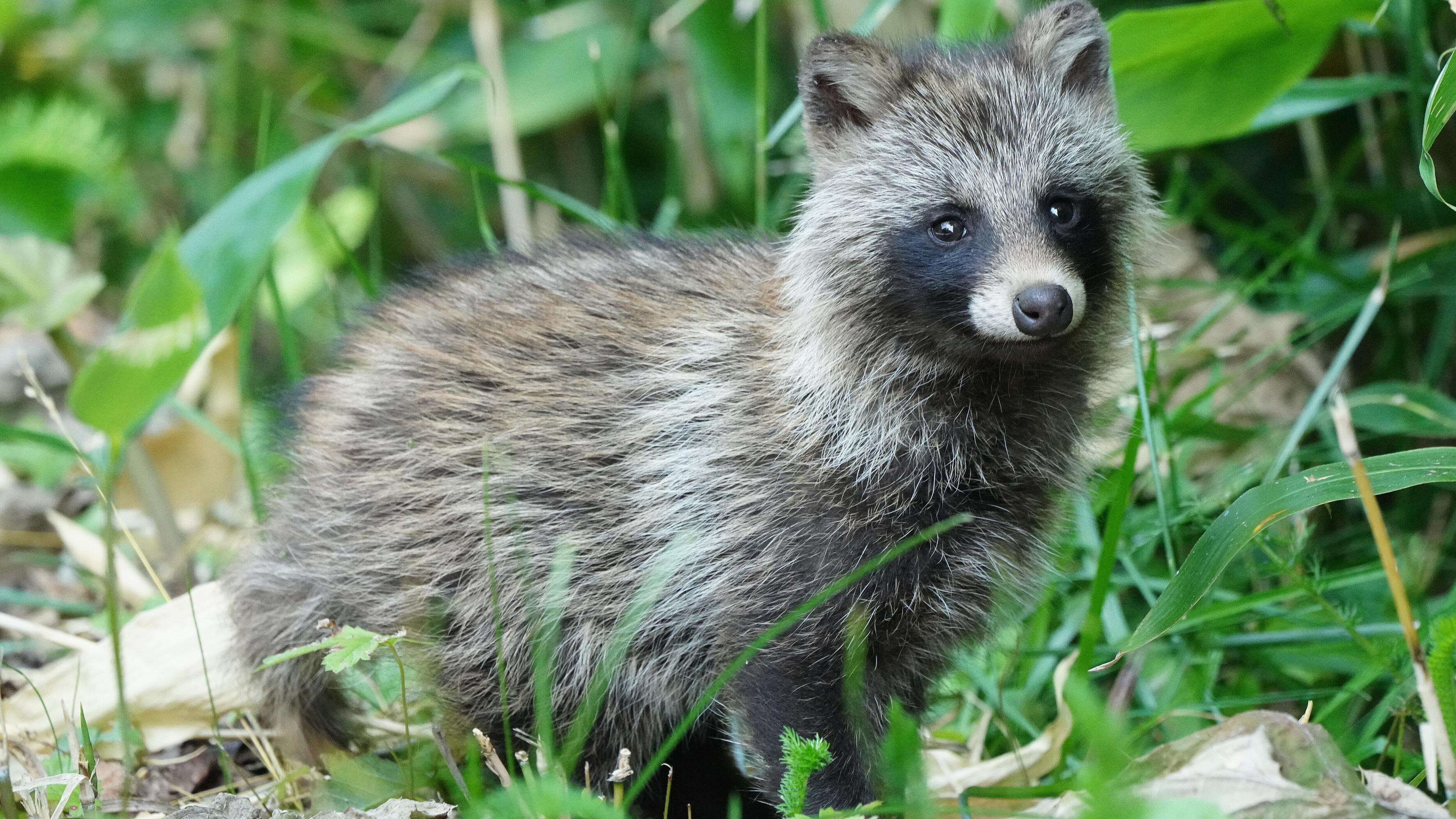 undefined. © stock.adobe.com
. © stock.adobe.com
