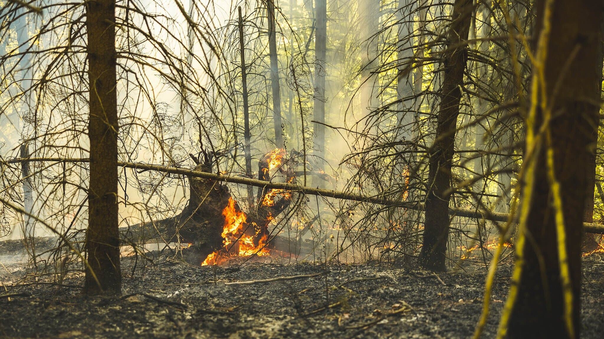 undefined. © Amt für Brand- und Katastrophenschutz. © Amt für Brand- und Katastrophenschutz