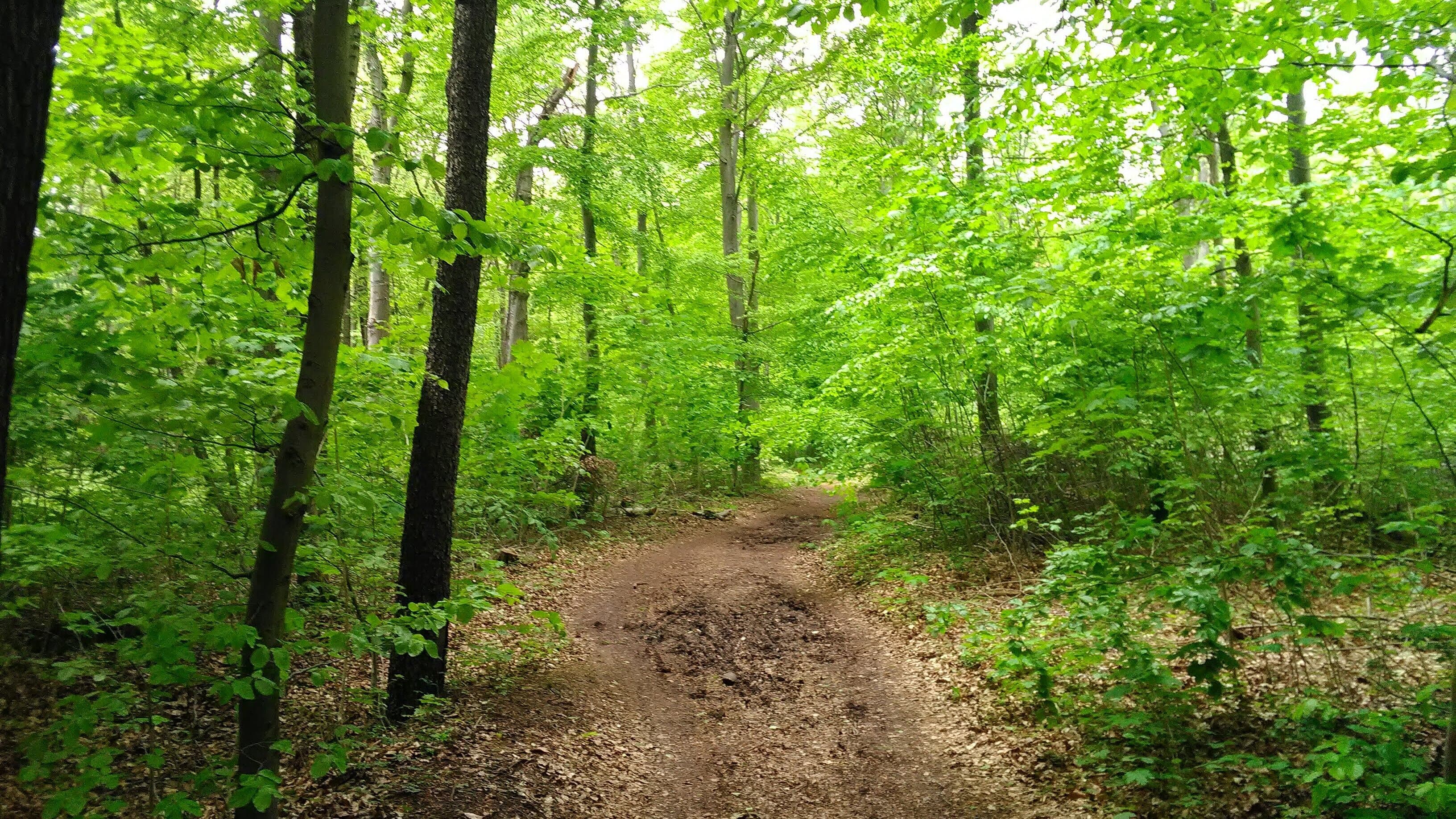 undefined. © Maximilian Schweiger. © Maximilian Schweiger