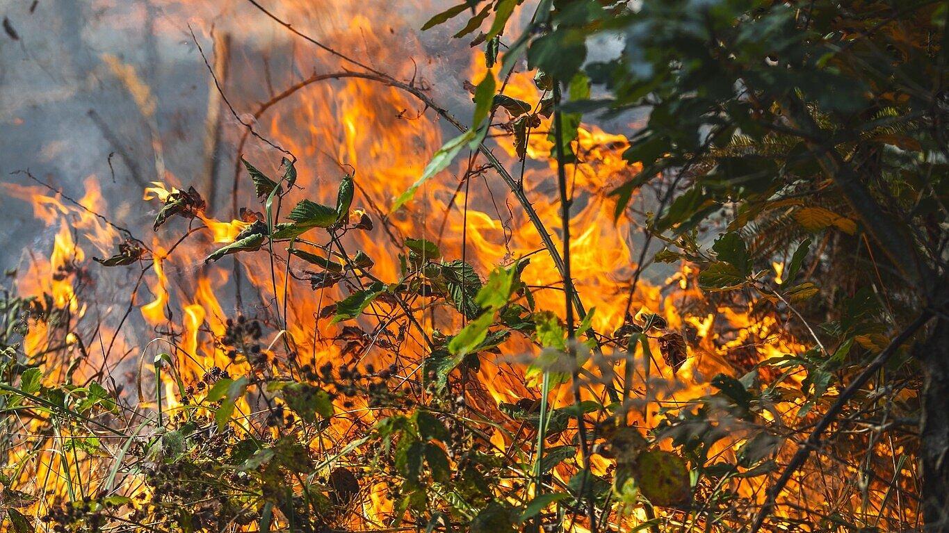 undefined. © Amt für Brand- und Katastrophenschutz. © Amt für Brand- und Katastrophenschutz