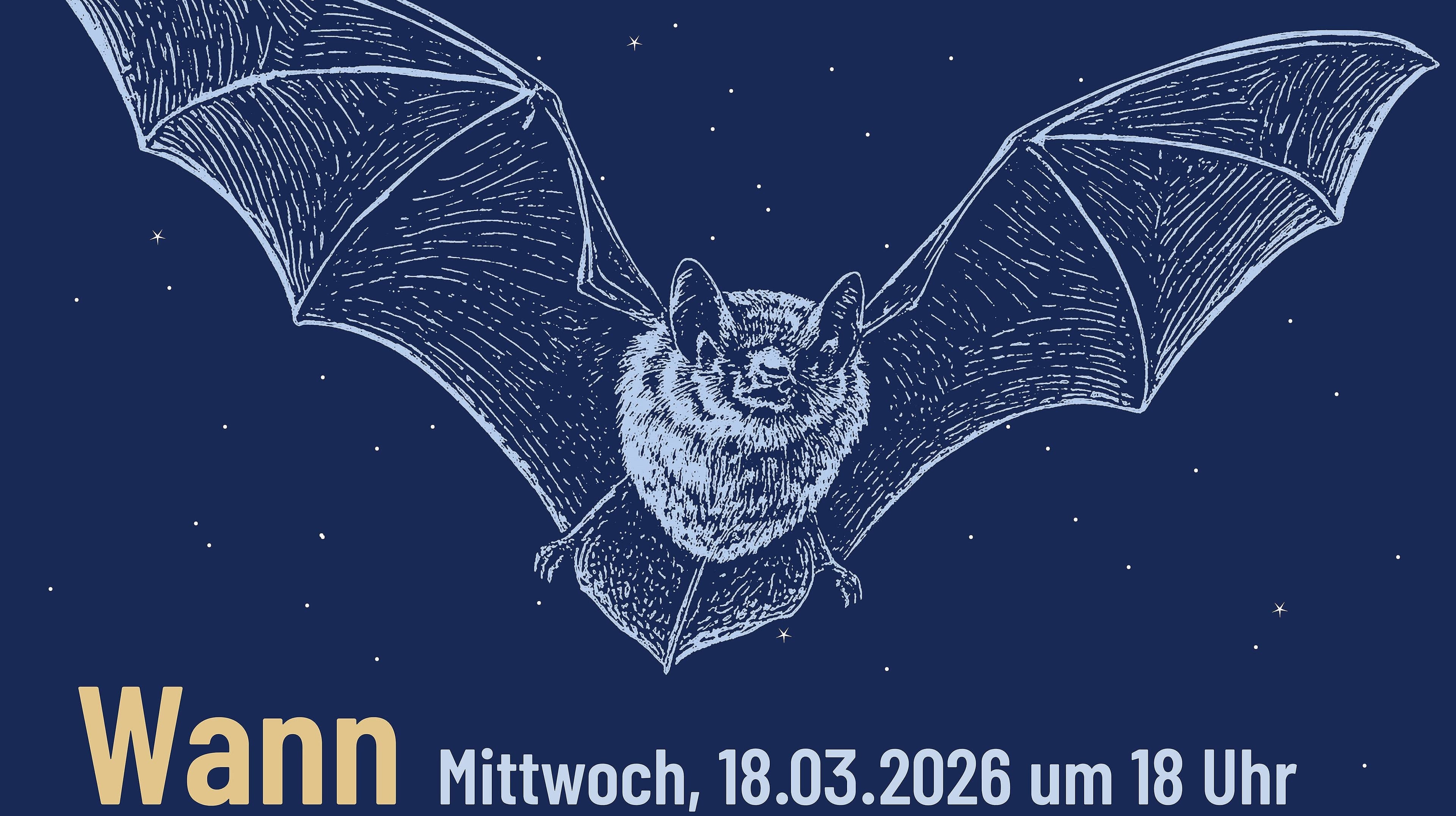 Fledermäuse – „Warte bis es dunkel wird„. © Museum für Naturkunde Gera