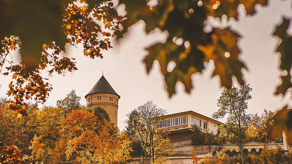 Gera.de